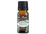 Naturalny olejek eukaliptusowy AROMATHERAPY 10ml